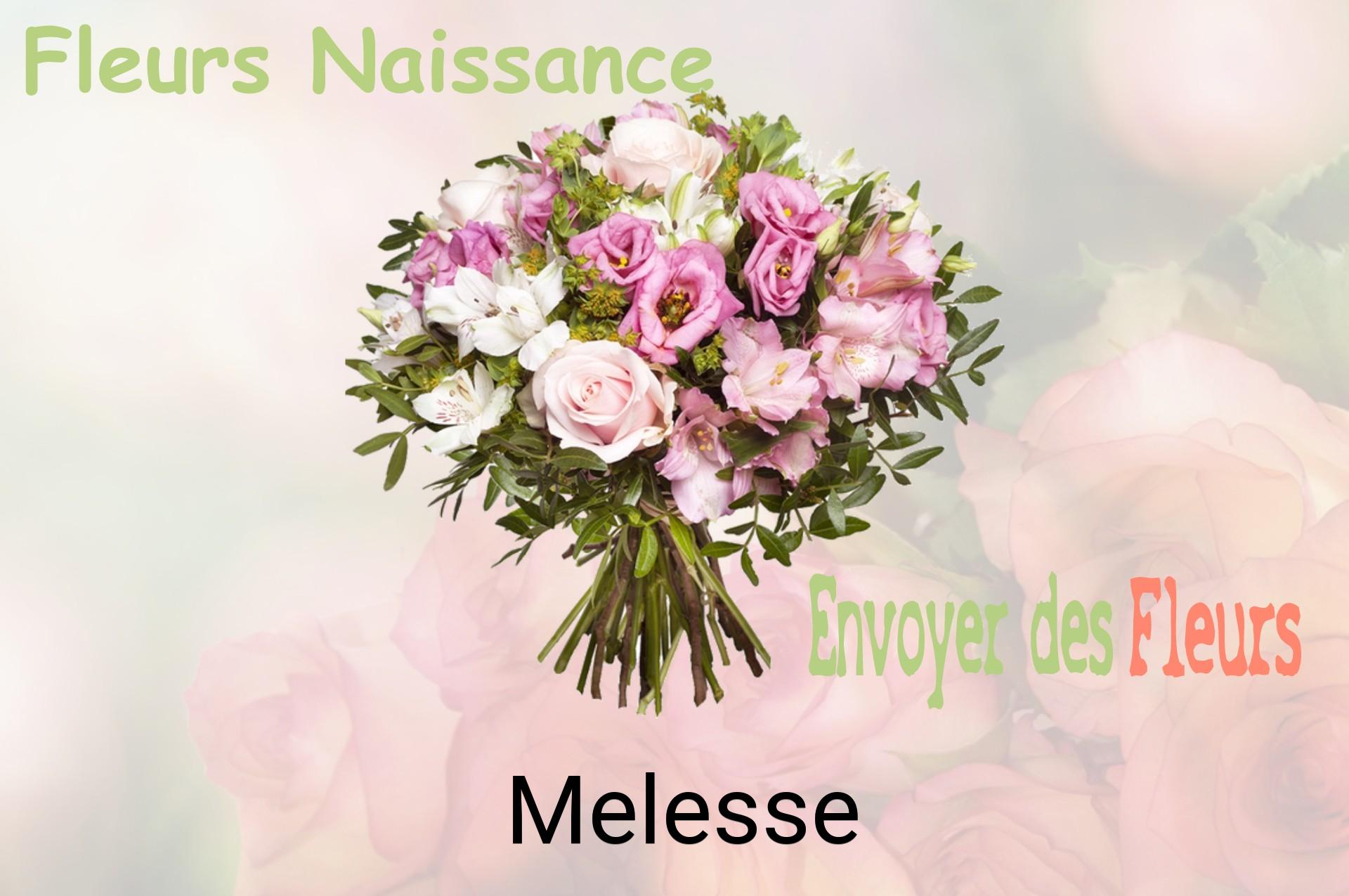 Bouquet de fleurs de naissance livré à Melesse