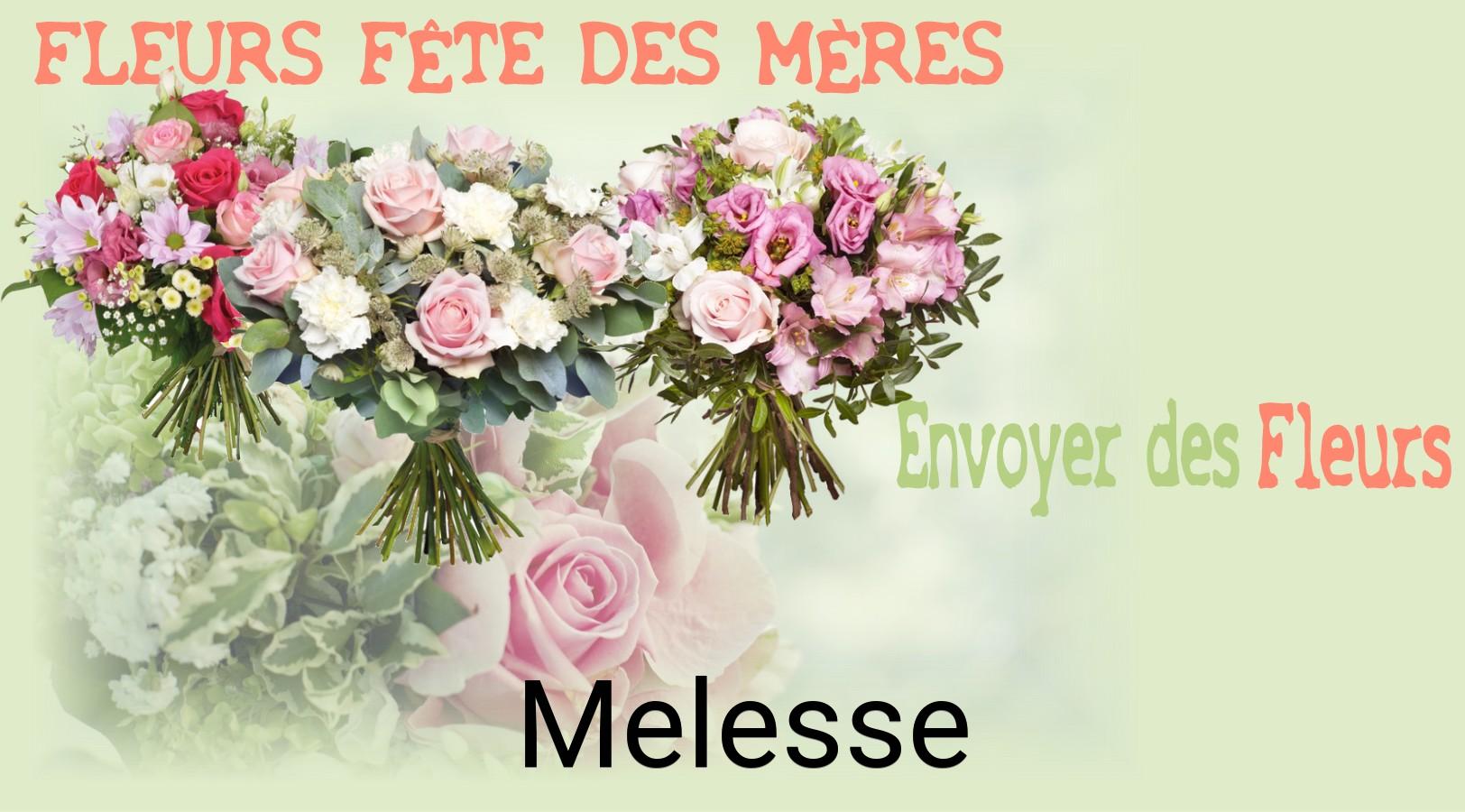 Bouquet de Fête des Mères livré à Melesse